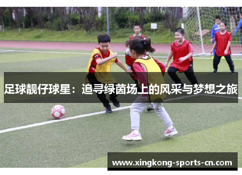 足球靓仔球星：追寻绿茵场上的风采与梦想之旅