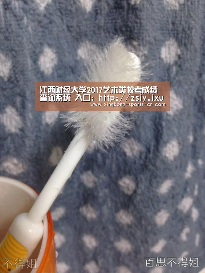 江西财经大学2017艺术类校考成绩查询系统 入口:http://zsjy.jxufe.cn/zs/cjcx/‘星空’(图3) 星空game