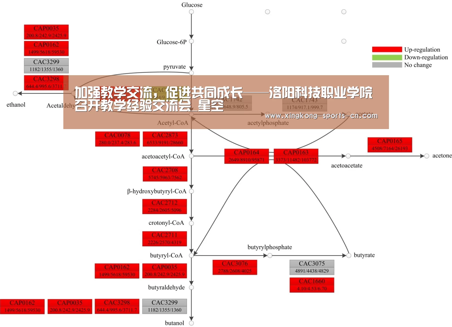 加强教学交流,促进共同成长——洛阳科技职业学院召开教学经验交流会_星空(图2) 星空官网入口