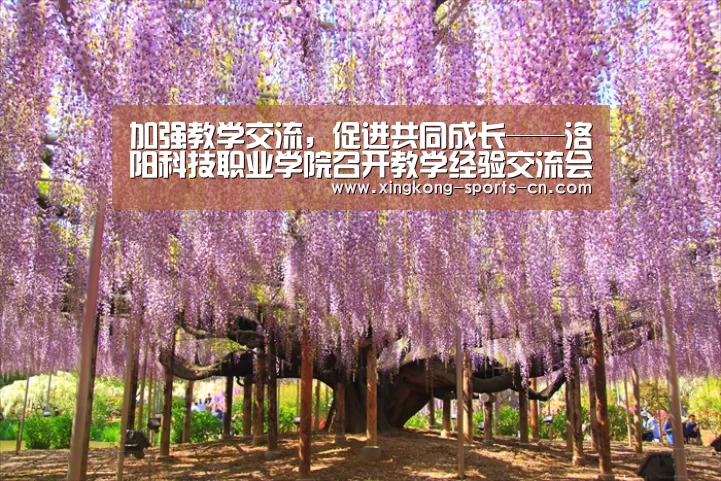 加强教学交流,促进共同成长——洛阳科技职业学院召开教学经验交流会_星空(图3) 星空