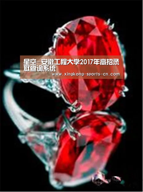 星空-安徽工程大学2017年高招录取查询系统(图2) 星空game
