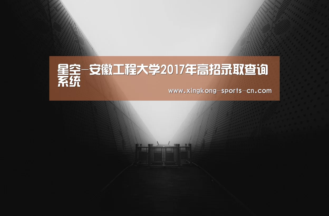 星空-安徽工程大学2017年高招录取查询系统(图3) 星空