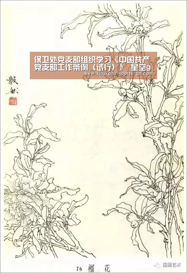 保卫处党支部组织学习《中国共产党支部工作条例(试行)》_星空game(图2) 星空